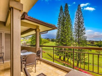 Kapalua Condo 896358